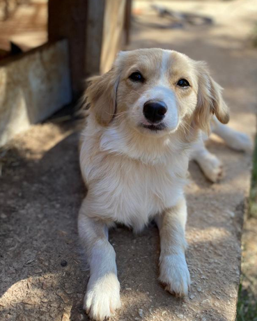 Kasimir