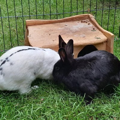 Lisi und Paulo (Titelbild)