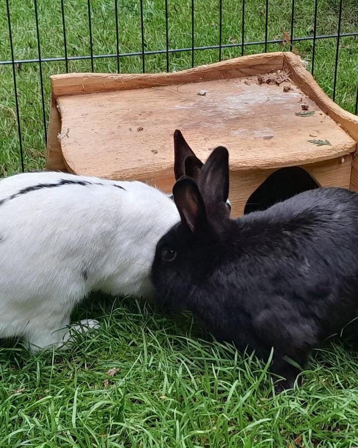 Lisi und Paulo