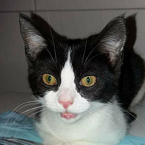 Luna (Keili) – luna1.jpg