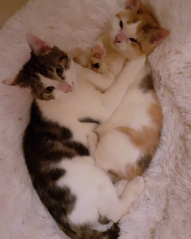 Maja & Flip