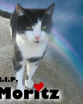 Moritz