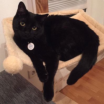 Romeo – romeo.jpg