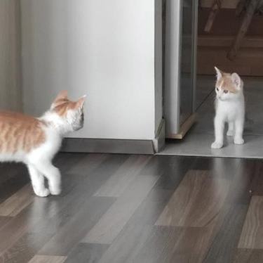 Sam & Sara