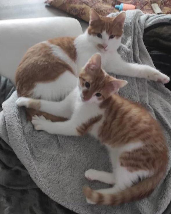 Sam & Sara