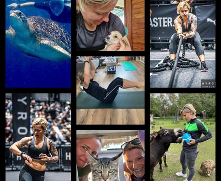 Sport für die Tiere