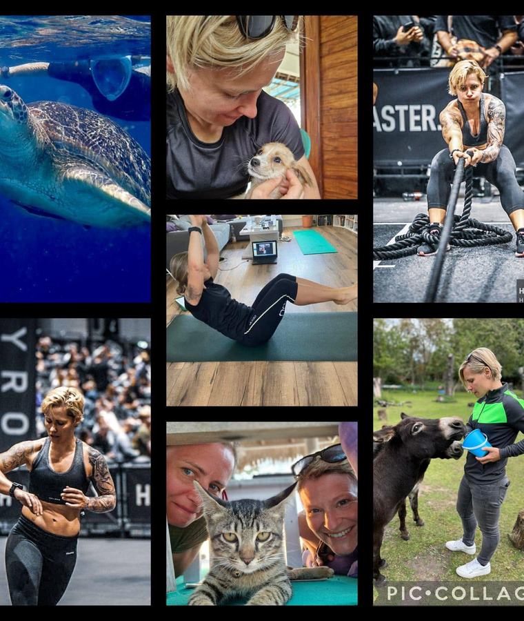 Sport für die Tiere