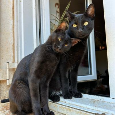Tim & Totorro – tim_totorro_01.jpg