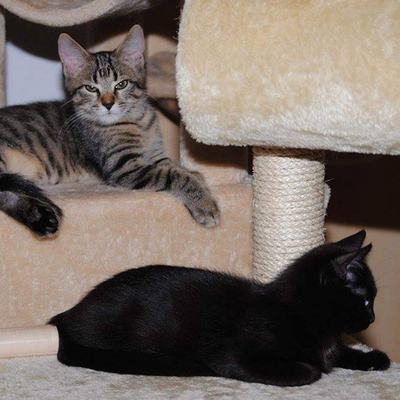 Zizah & Yoshi