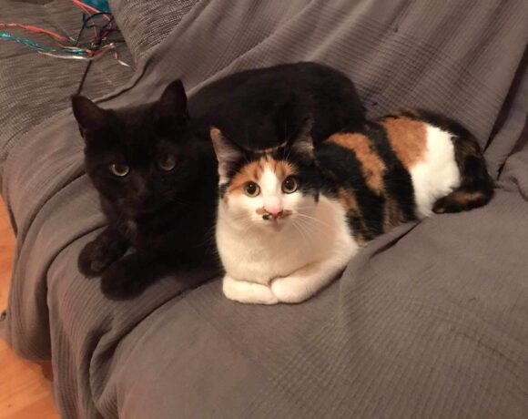 Naomi + Zeus