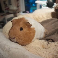 Gerri und Helli