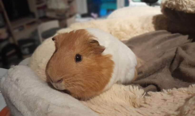 Gerri und Helli