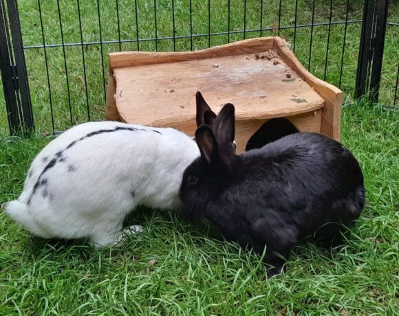 Lisi und Paulo