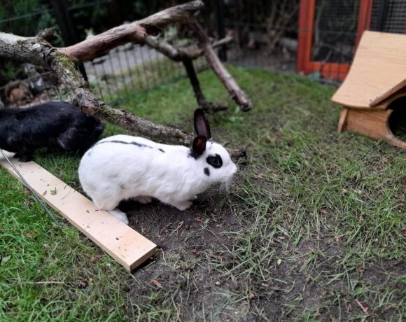 Lisi und Paulo