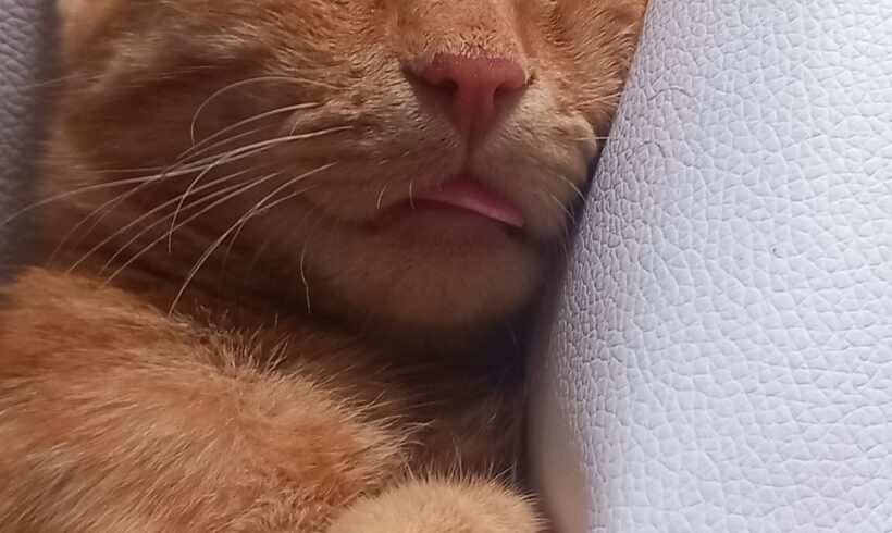Kater Hicks Kater Hicks