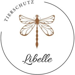 Vielen lieben Dank an die großzügige Vielen lieben Dank an die großzügige