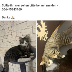 Bitte Augen offen halten. Einer unserer