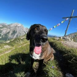 Update: Zuhause gefunden 🙏🏻 Update: Zuhause gefunden 🙏🏻
