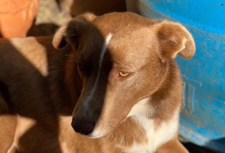 💛🧡💛🧡💛🧡💛🧡💛🧡💛🧡💛🧡💛🧡💛

Ostershooting …