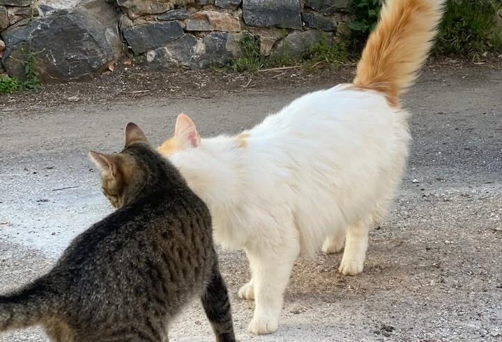 💛🧡💛🧡💛🧡💛🧡💛🧡💛🧡💛🧡💛🧡💛

Ostershooting …