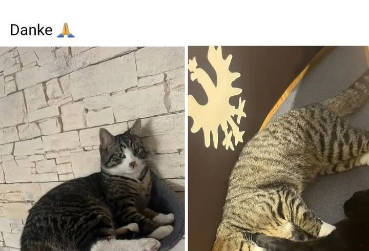 😥R.i.P.😥
Komm gut an im 🌈land

Bitte Augen …