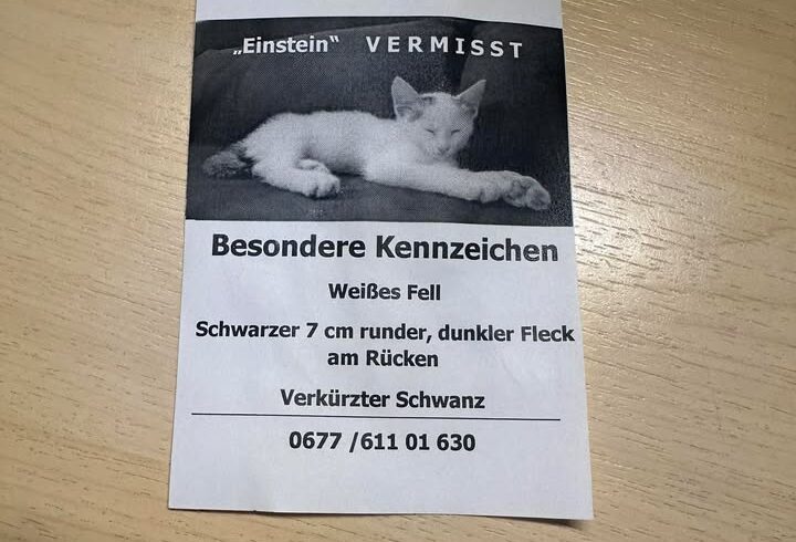 Weer

Bitte Augen offen halten 🙏🏻