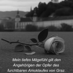 Serapis sucht sein Traumzuhause! 🎉