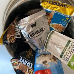 Futterlieferung für Hunde und Katzen auf Kreta erfolgreich eingetroffen