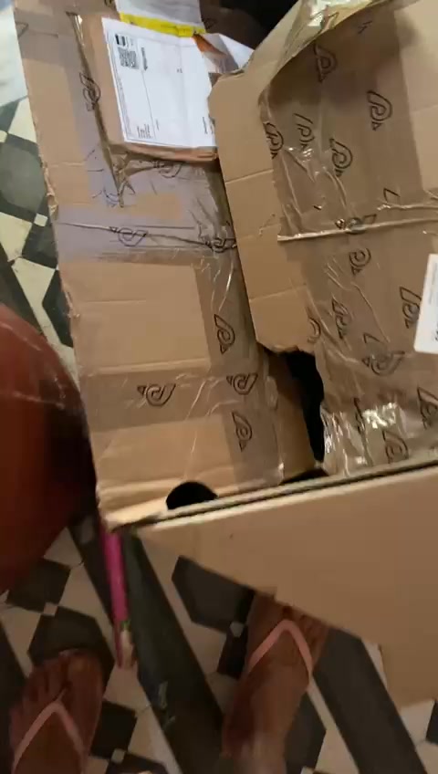 Katzen auf Kreta genießen Futter und Kartons Katzen auf Kreta genießen Futter und Kartons