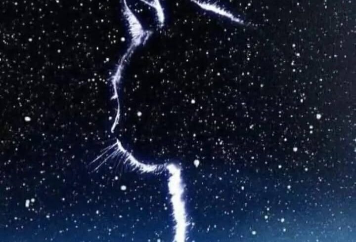 Abschied von Archie bei der Pflegestelle Katrin