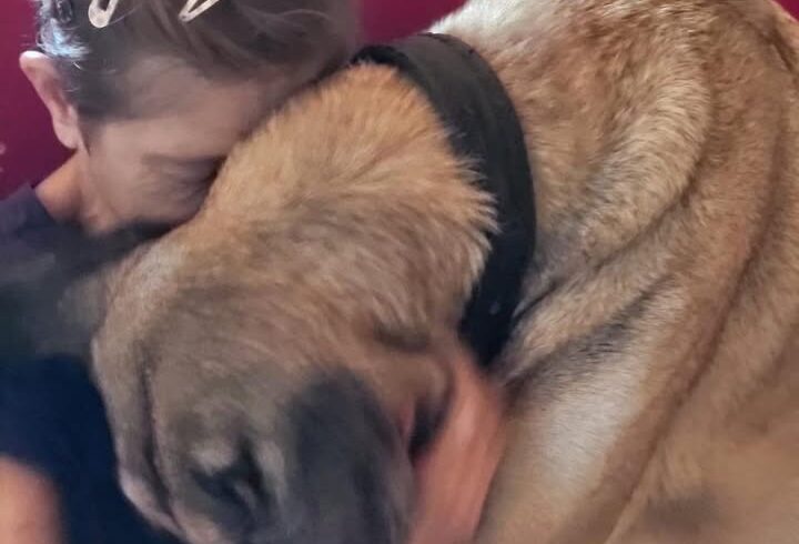 Private Tierschützerin versorgt 70 Katzen und 30 Hunde auf Kreta