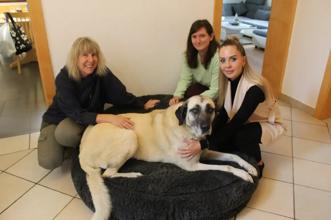 Dank an Julia E. für Artikel über Tierschutzverein Dank an Julia E. für Artikel über Tierschutzverein