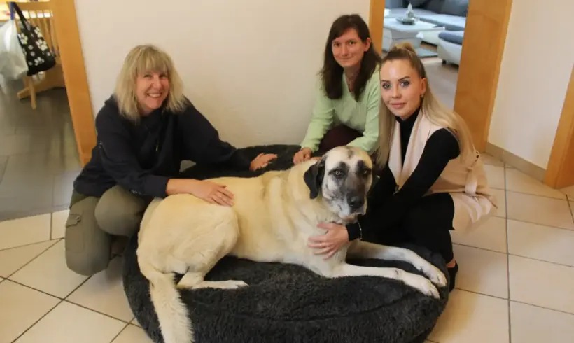 Dank an Julia E. für Artikel über Tierschutzverein Dank an Julia E. für Artikel über Tierschutzverein