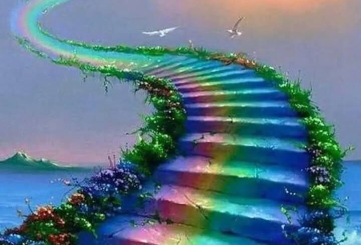 Babykätzchen Malia und Nala suchen Zuhause Babykätzchen Malia und Nala suchen Zuhause