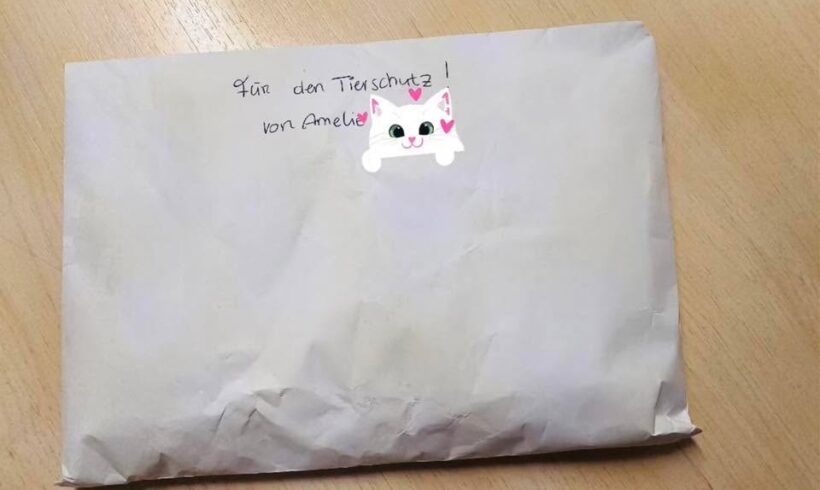 Herzerwärmende Unterstützung für Tiere durch Amelie Herzerwärmende Unterstützung für Tiere durch Amelie
