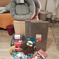 Dank an Pflegestelle Schwoich für Kätzchen-Sachen