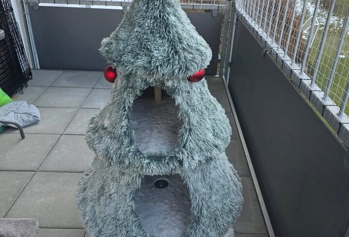 Katzentauglicher Christbaum mit Höhlen und Kletterplatz