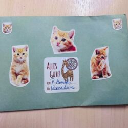 Dankeschön für die liebe Spende an unsere Fellnasen