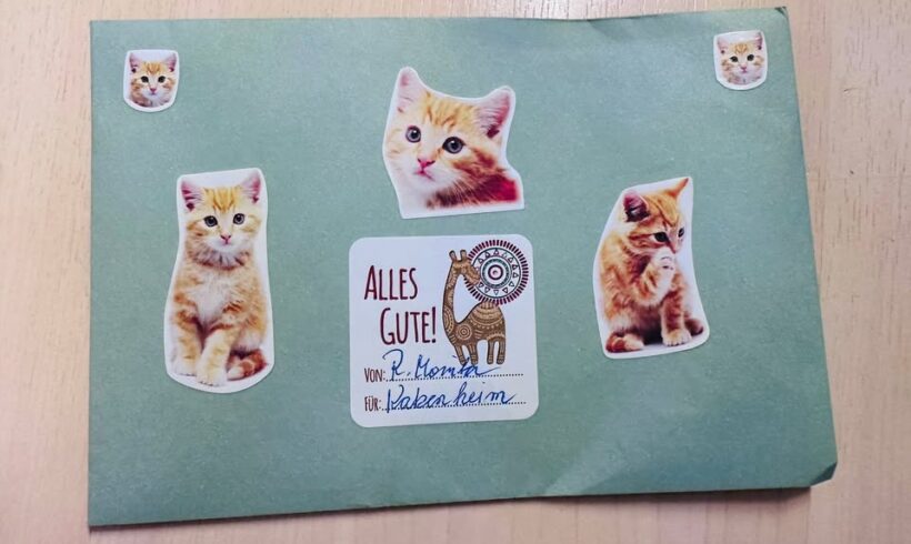 Dankeschön für die liebe Spende an unsere Fellnasen