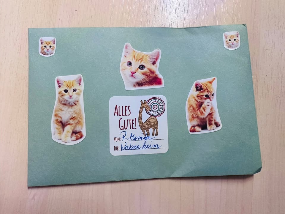 Dankeschön für die liebe Spende an unsere Fellnasen Dankeschön für die liebe Spende an unsere Fellnasen