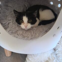 Franzi vorerst nicht zur Vermittlung verfügbar