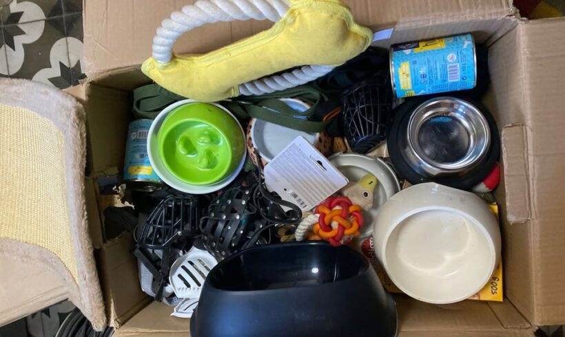 Futterlieferung für Hund und Katze auf Kreta