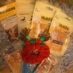 Gewinnspiel: Katzenpaket mit Leckerlies und Katzenminze