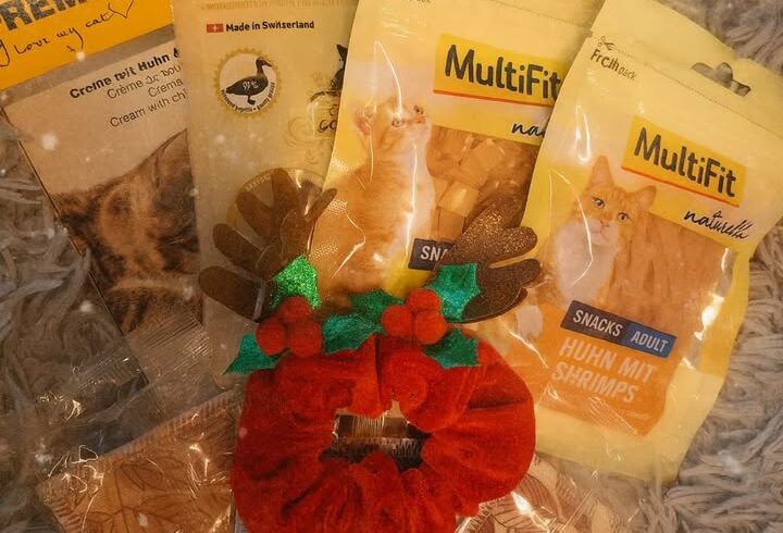 Gewinnspiel: Katzenpaket mit Leckerlies und Katzenminze