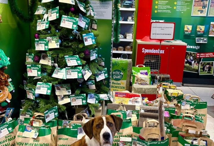 Dank an Fressnapf Österreich und Team Telfs für Spendenhilfe