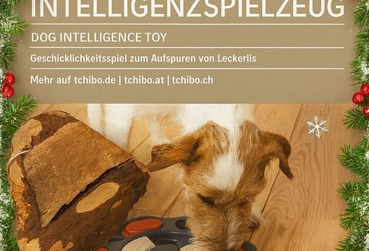 Adventkalender-Gewinnspiel mit Wiffzackspiel und Kauholz