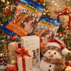 Adventkalender Gewinnspiel mit Hundepaket