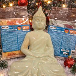 Adventkalender-Gewinnspiel mit Katze und Buddha