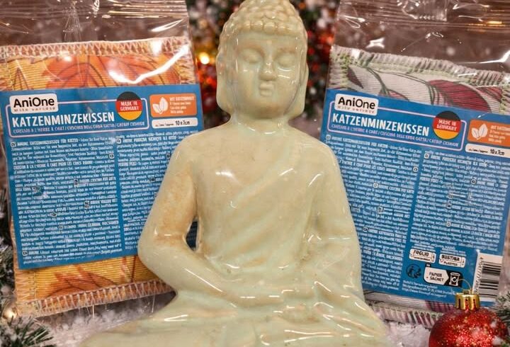 Adventkalender-Gewinnspiel mit Katze und Buddha