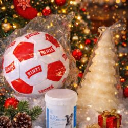 Adventkalender-Gewinnspiel mit Hundepaket & LED Kerze